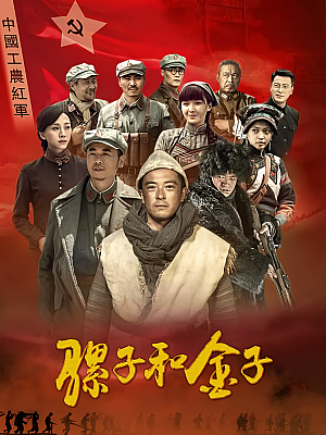国产剧《骡子和金子》2016 1080P 全33集 豆瓣 5.5分【19GB】