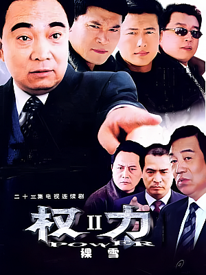 国产剧《裸雪》2003 DVD 全21集 豆瓣 7.2分【6GB】