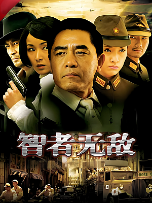 国产剧《智者无敌》2011 DVD 全30集 豆瓣 7.6分【10GB】