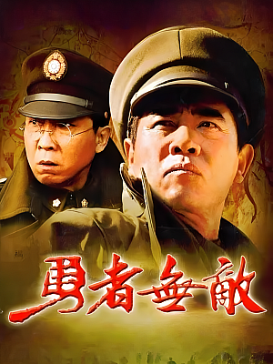 国产剧《勇者无敌》2009 DVD 全32集 豆瓣 7.6分【7GB】