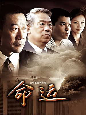 国产剧《命运》2010 1080P 全30集 豆瓣 8.5分【18GB】