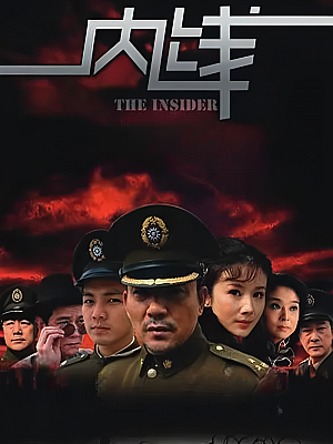 国产剧《内线》2009 DVD 全31集 豆瓣 7.7分【10GB】