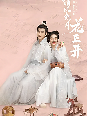 国产剧《清风朗月花正开》2021 2160P 全24集 豆瓣 5.4分【27GB】