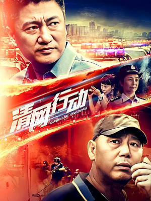 国产剧《清网行动》2014 1080P 全32集 豆瓣 6.6分【8GB】