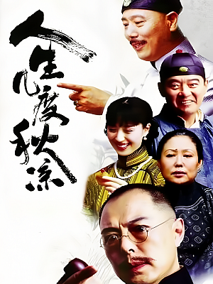 国产剧《人生几度秋凉》2003 DVD 全31集 豆瓣 7.8分【10GB】