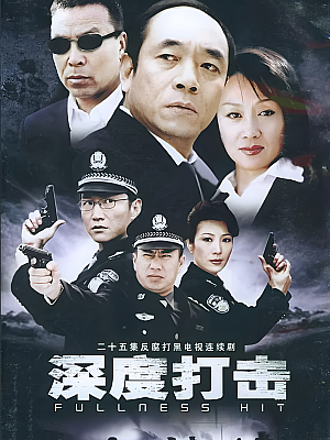 国产剧《深度打击》2004 DVD 全22集【9GB】