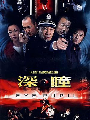 国产剧《深瞳》2007 DVD 全24集 豆瓣 7.9分【12GB】