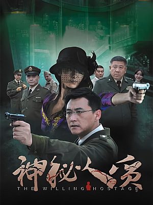 国产剧《神秘人质》2013 1080P 全41集 豆瓣 7.3分【50GB】