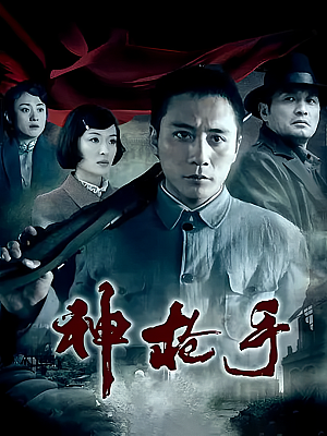 国产剧《神枪手》2009 1080P 全28集 豆瓣 5.7分【34GB】