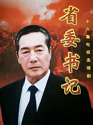 国产剧《省委书记》2002 DVD 全18集 豆瓣 7.6分【3GB】