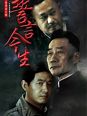 国产剧《誓言今生》2011 1080P 全30集 豆瓣 6.9分【27GB】