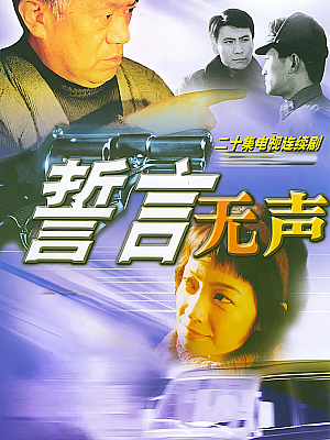国产剧《誓言无声》2002 DVD 全28集 豆瓣 8.6分【7GB】