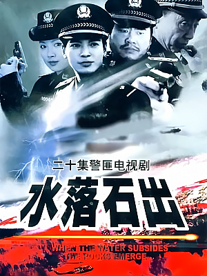 国产剧《水落石出 第一部》2000 DVD 全20集 豆瓣 8.2分【9GB】
