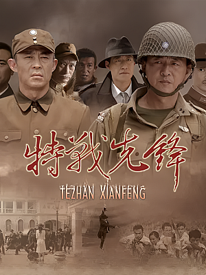 国产剧《特战先锋》2010 DVD 全31集 豆瓣 6.6分【12GB】