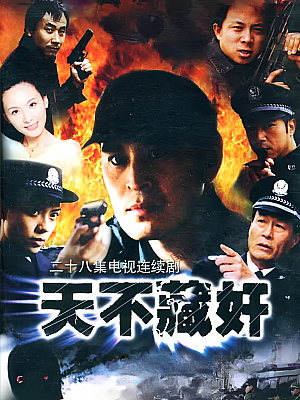 国产剧《天不藏奸》2003 2160P 全28集 豆瓣 7.6分【30GB】