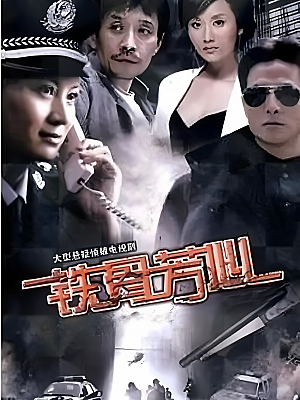 国产剧《铁骨芳心》2009 DVD 全28集 豆瓣 7.5分【9GB】