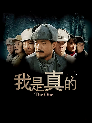 国产剧《我是真的》2011 1080P 全29集 豆瓣 5.9分【21GB】