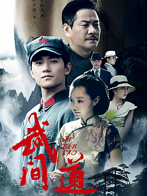 国产剧《武间道》2013 1080P 全29集 豆瓣 7.2分【16GB】