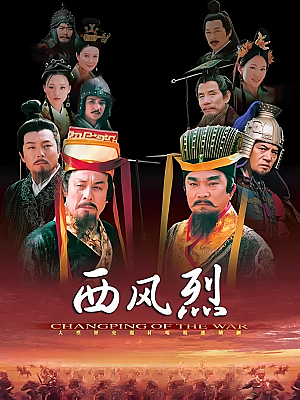 国产剧《西风烈》2004 DVD 全30集 豆瓣 7.3分【11GB】