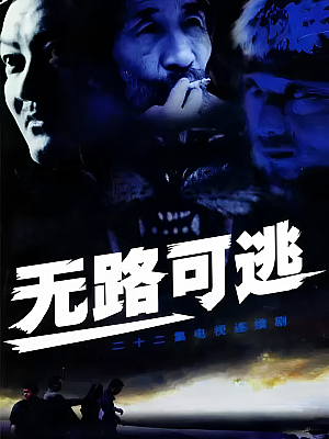 国产剧《无路可逃》2004 DVD 全22集 豆瓣 8.4分【4GB】