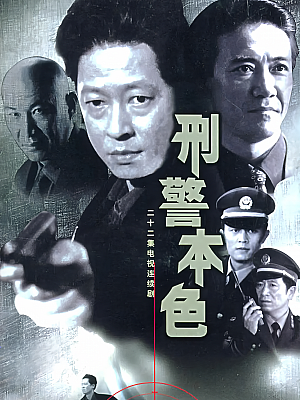 国产剧《刑警本色》1999 DVD 全22集 豆瓣 8.6分【5GB】