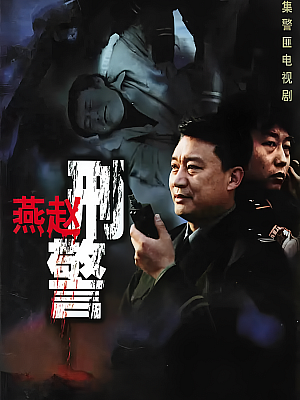 国产剧《燕赵刑警》2002 DVD 全30集 豆瓣 8.3分【14GB】