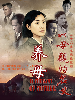 国产剧《养母》2011 1080P 全36集 豆瓣 5.3分【24GB】