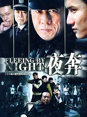 国产剧《夜奔》2007 DVD 全28集 豆瓣 7.6分【7GB】