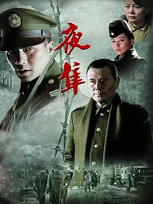国产剧《夜隼》2012 1080P 全28集 豆瓣 6.0分【43GB】