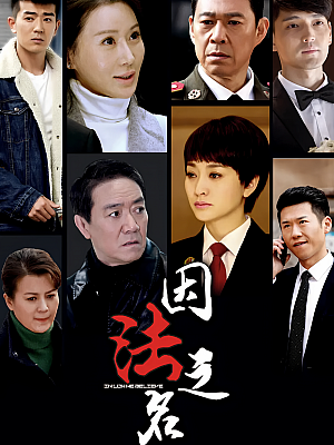 国产剧《因法之名》2019 1080P 全45集 豆瓣 5.2分【46GB】
