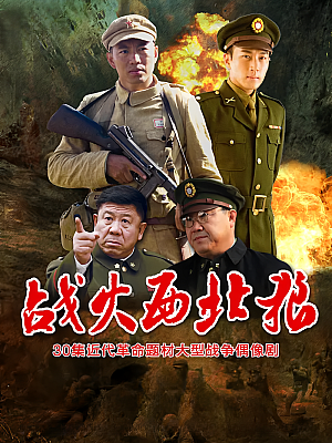 国产剧《战火西北狼》2012 1080P 全31集 豆瓣 6.4分【41GB】