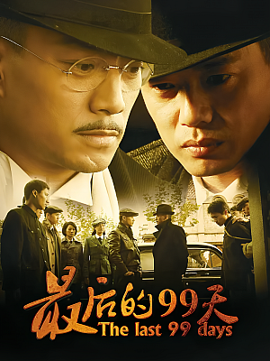 国产剧《最后的99天》2009 DVD 全32集 豆瓣 7.2分【5GB】