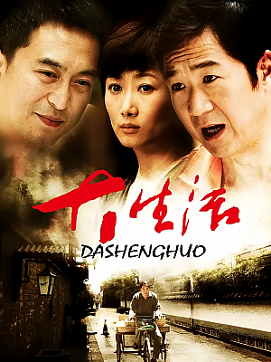 国产剧《大生活》2009 720P 全35集 豆瓣 7.8分【49GB】