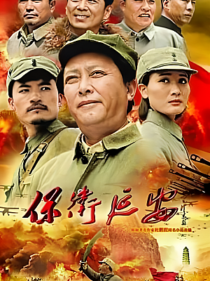国产剧《保卫延安》2009 1080P 全28集 豆瓣 6.6分【60GB】