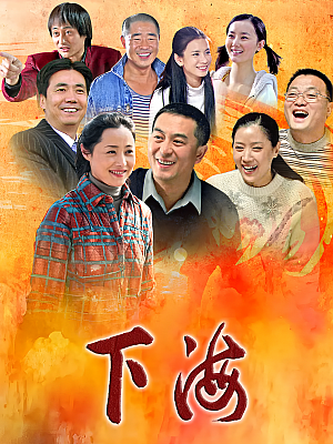国产剧《下海》2011 1080P 全37集 豆瓣 8.0分【49GB】
