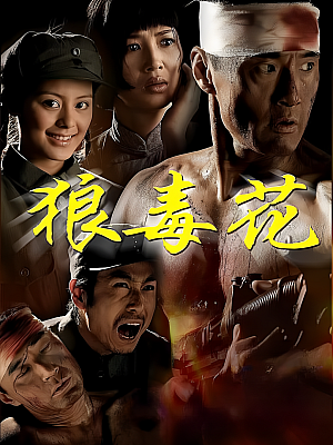 国产剧《狼毒花》2007 1080P 全36集 豆瓣 6.9分【78GB】