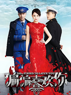 国产剧《偏偏喜欢你》2015 2160P 全41集 豆瓣 5.9分【54GB】
