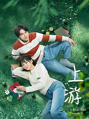 国产剧《上游》2001 2160P 全36集 豆瓣 7.1分【53GB】