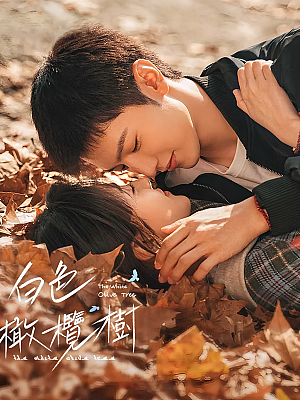 国产剧《白色橄榄树》2025 2160P 全38集 豆瓣 5.3分【207GB】