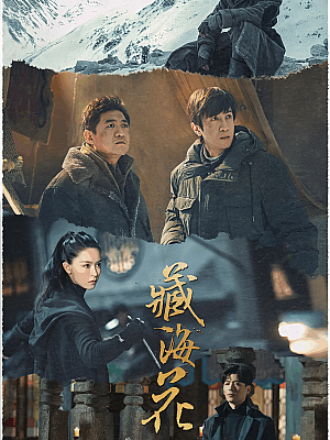 国产剧《藏海花》2024 2160P 全32集 豆瓣 6.6分【76GB】