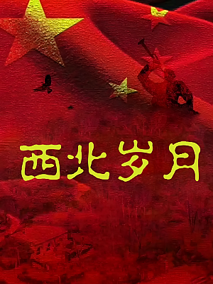 国产剧《西北岁月》2024 2160P 全39集【180GB】