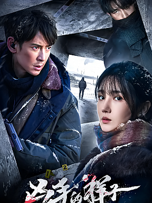 国产剧《凶手的样子》2024 2160P 全16集【76GB】