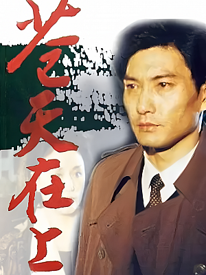 国产剧《苍天在上》1995 1080P 全17集 豆瓣 7.9分【66GB】