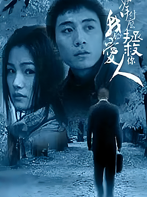 国产剧《拿什么拯救你,我的爱人》2002 720P 全33集 豆瓣 7.6分【36GB】
