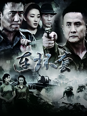 国产剧《连环套》2012 2160P 全39集 豆瓣 6.6分【120GB】