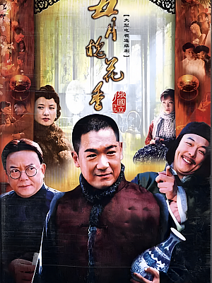 国产剧《五月槐花香》2004 1080P 全32集 豆瓣 8.2分【19GB】