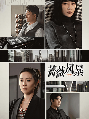 国产剧《蔷薇风暴》2024 2160P 全40集 豆瓣 7.8分【210GB】