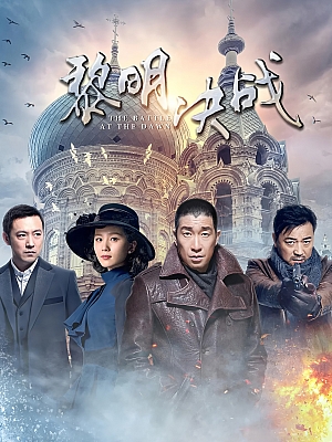 国产剧《黎明决战》2017 1080P 全31集 豆瓣 6.5分【19GB】