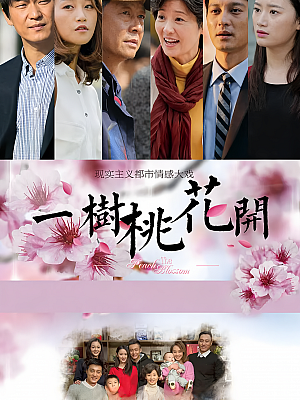 国产剧《一树桃花开》2017 1080P 全42集 豆瓣 6.9分【80GB】