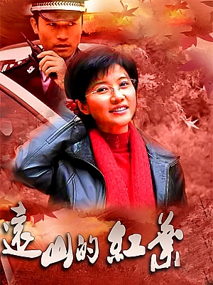 国产剧《远山的红叶》2010 1080P 全20集 豆瓣 8.0分【11GB】